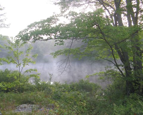 Photo from Backpacking West Side of QEW, Victoria Bridge to Loon Lake
