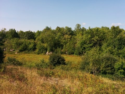 Photo from Backpacking West Side of QEW, Victoria Bridge to Loon Lake