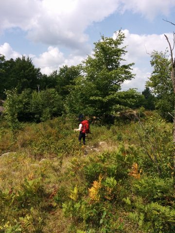 Photo from Backpacking West Side of QEW, Victoria Bridge to Loon Lake
