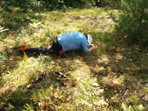 Photo from Backpacking West Side of QEW, Victoria Bridge to Loon Lake