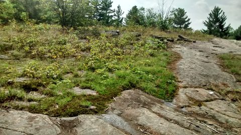 Photo from QEW High Falls Loop