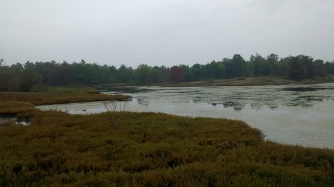 Photo from QEW High Falls Loop