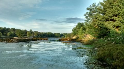 Photo from QEW High Falls Loop