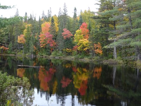 Photo from Thanksgiving weekend in Algonquin Provincial Park