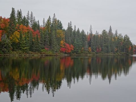 Photo from Thanksgiving weekend in Algonquin Provincial Park