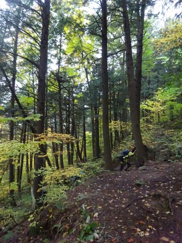 Photo from Thanksgiving weekend in Algonquin Provincial Park
