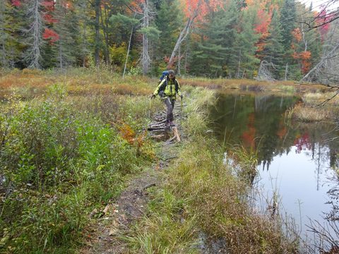 Photo from Thanksgiving weekend in Algonquin Provincial Park