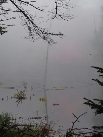 Photo from Thanksgiving weekend in Algonquin Provincial Park