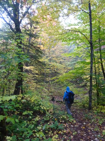 Photo from Thanksgiving weekend in Algonquin Provincial Park