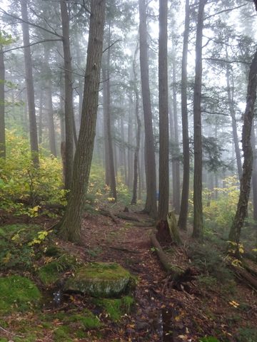Photo from Thanksgiving weekend in Algonquin Provincial Park