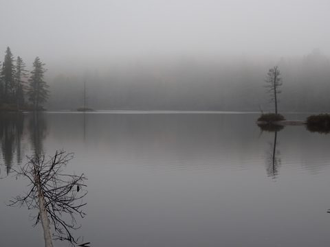 Photo from Thanksgiving weekend in Algonquin Provincial Park