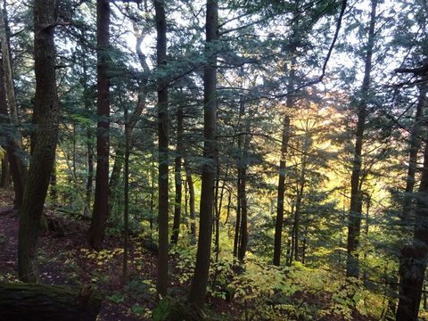 Photo from Thanksgiving weekend in Algonquin Provincial Park