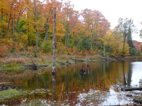 Photo from Thanksgiving weekend in Algonquin Provincial Park