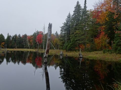 Photo from Thanksgiving weekend in Algonquin Provincial Park