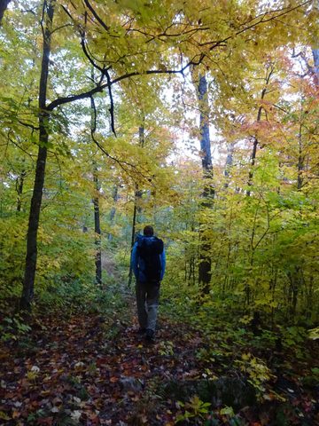 Photo from Thanksgiving weekend in Algonquin Provincial Park