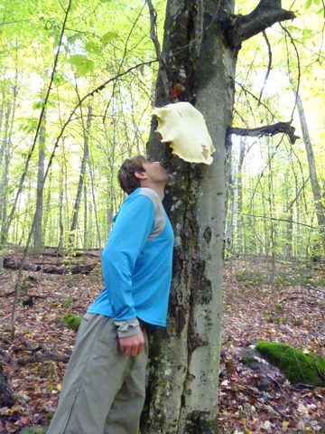 Photo from Thanksgiving weekend in Algonquin Provincial Park
