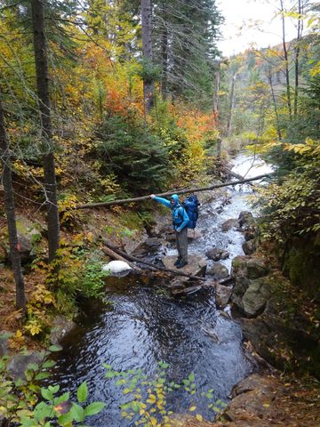 Photo from Thanksgiving weekend in Algonquin Provincial Park