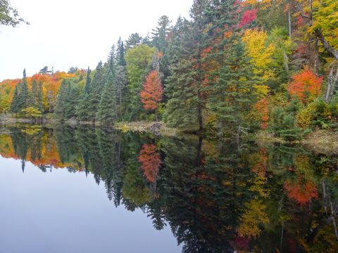 Photo from Thanksgiving weekend in Algonquin Provincial Park