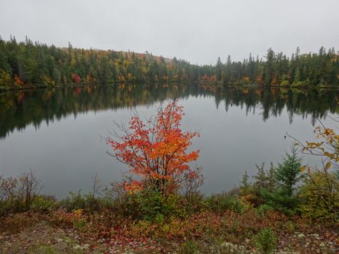 Photo from Thanksgiving weekend in Algonquin Provincial Park