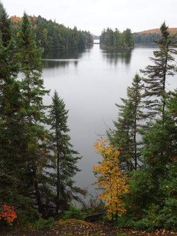 Photo from Thanksgiving weekend in Algonquin Provincial Park