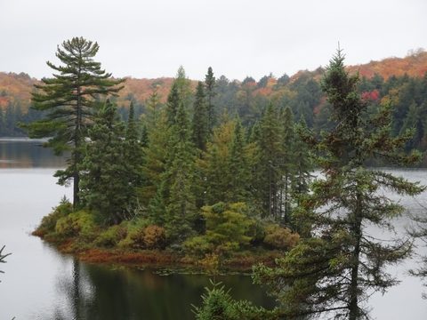 Photo from Thanksgiving weekend in Algonquin Provincial Park
