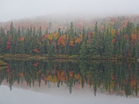 Photo from Thanksgiving weekend in Algonquin Provincial Park