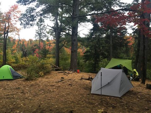 Photo from Thanksgiving weekend in Algonquin Provincial Park