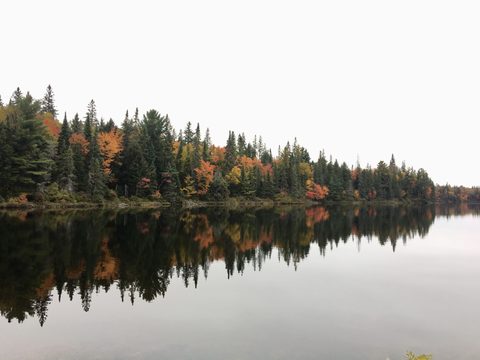 Photo from Thanksgiving weekend in Algonquin Provincial Park