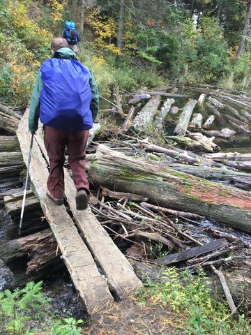 Photo from Thanksgiving weekend in Algonquin Provincial Park