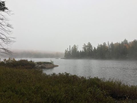 Photo from Thanksgiving weekend in Algonquin Provincial Park