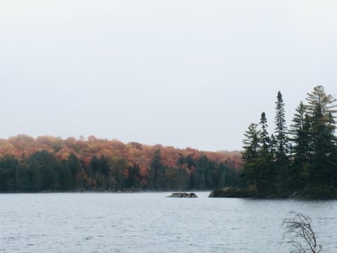 Photo from Thanksgiving weekend in Algonquin Provincial Park