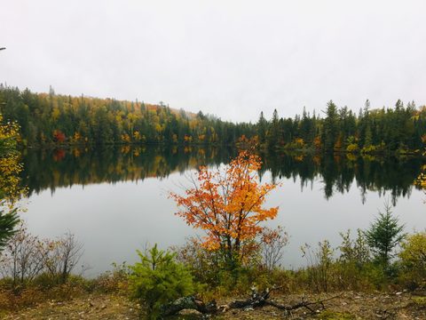 Photo from Thanksgiving weekend in Algonquin Provincial Park