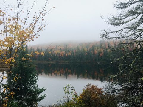 Photo from Thanksgiving weekend in Algonquin Provincial Park