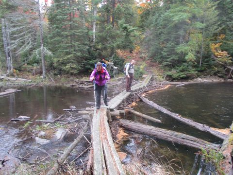 Photo from Thanksgiving weekend in Algonquin Provincial Park