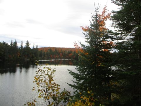 Photo from Thanksgiving weekend in Algonquin Provincial Park