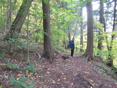 Photo from Thanksgiving weekend in Algonquin Provincial Park