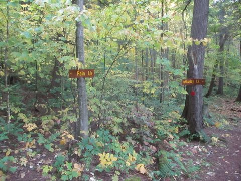Photo from Thanksgiving weekend in Algonquin Provincial Park