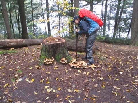 Photo from Thanksgiving weekend in Algonquin Provincial Park