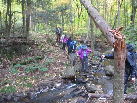 Photo from Thanksgiving weekend in Algonquin Provincial Park