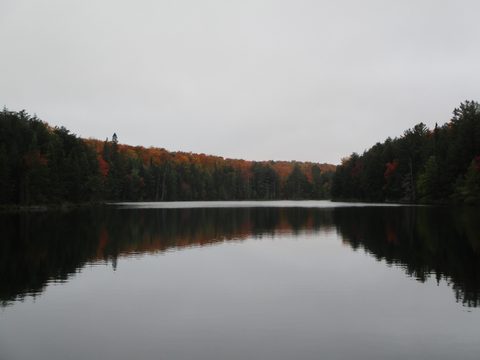 Photo from Thanksgiving weekend in Algonquin Provincial Park