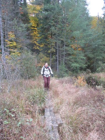 Photo from Thanksgiving weekend in Algonquin Provincial Park