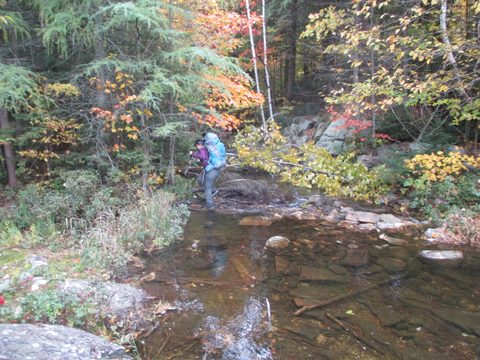 Photo from Thanksgiving weekend in Algonquin Provincial Park