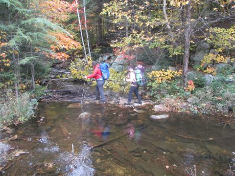 Photo from Thanksgiving weekend in Algonquin Provincial Park
