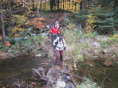 Photo from Thanksgiving weekend in Algonquin Provincial Park