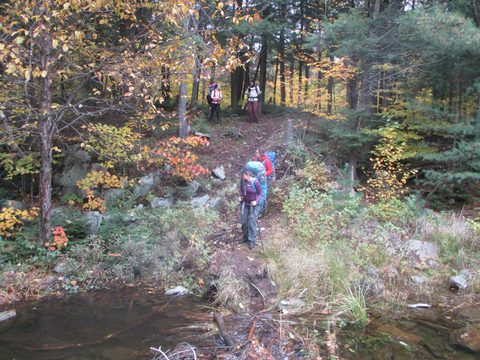 Photo from Thanksgiving weekend in Algonquin Provincial Park