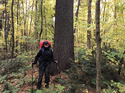 Photo from Thanksgiving weekend in Algonquin Provincial Park