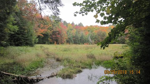 Photo from Introduction to backpacking - A first trip with Tim