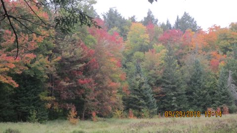 Photo from Introduction to backpacking - A first trip with Tim