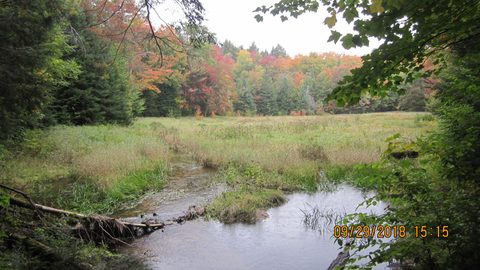 Photo from Introduction to backpacking - A first trip with Tim