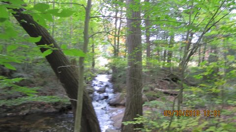 Photo from Introduction to backpacking - A first trip with Tim
